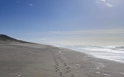 Beach Trilogy