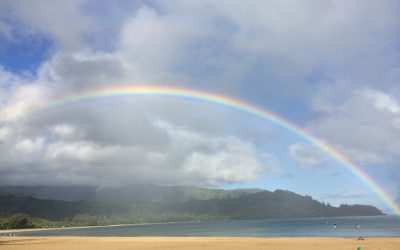 A Sense Of Wonder