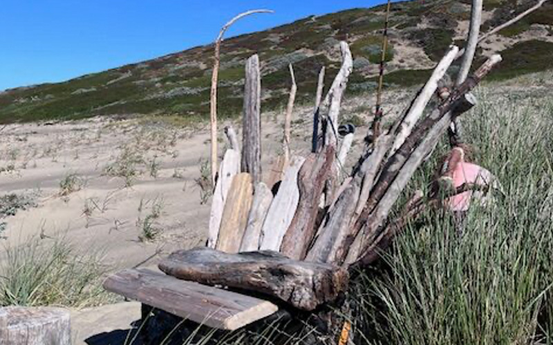 The Serendipity of Beach Structures