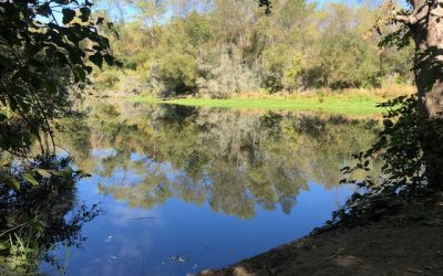 River Meditation