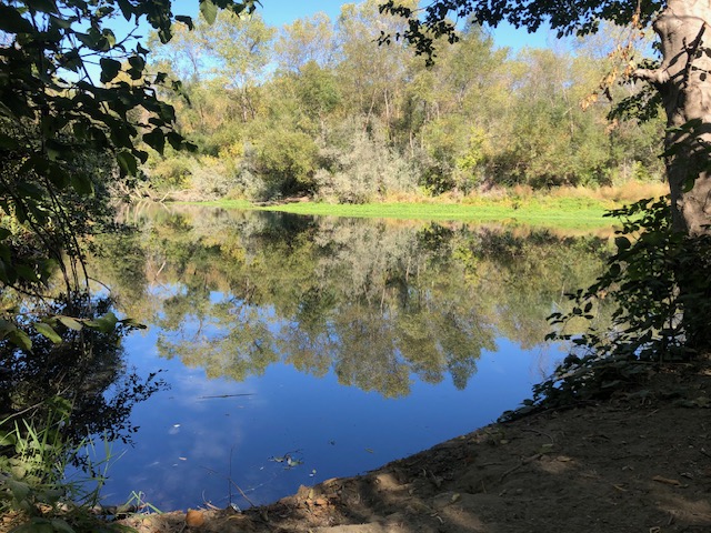 River Meditation