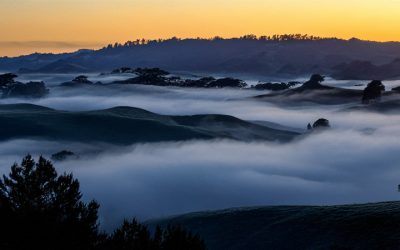 Finding Peace on a Foggy Morning