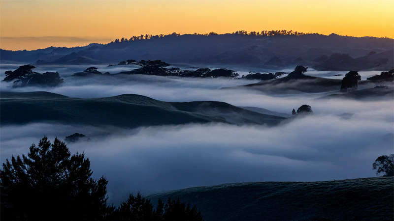 Finding Peace on a Foggy Morning