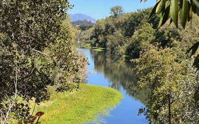A Dreamy Day On The Russian River