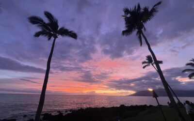 Maui Stories