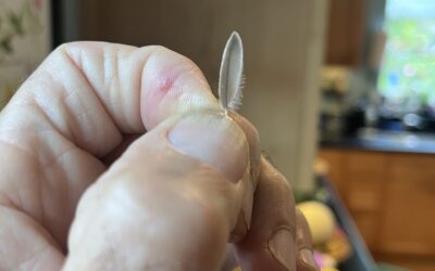 Light As Feather