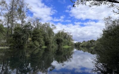 Autumn In The Air On The Lazy Russian River